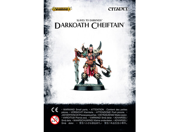 Slaves to Darkness Darkoath Chieftain Warhammer Age of Sigmar